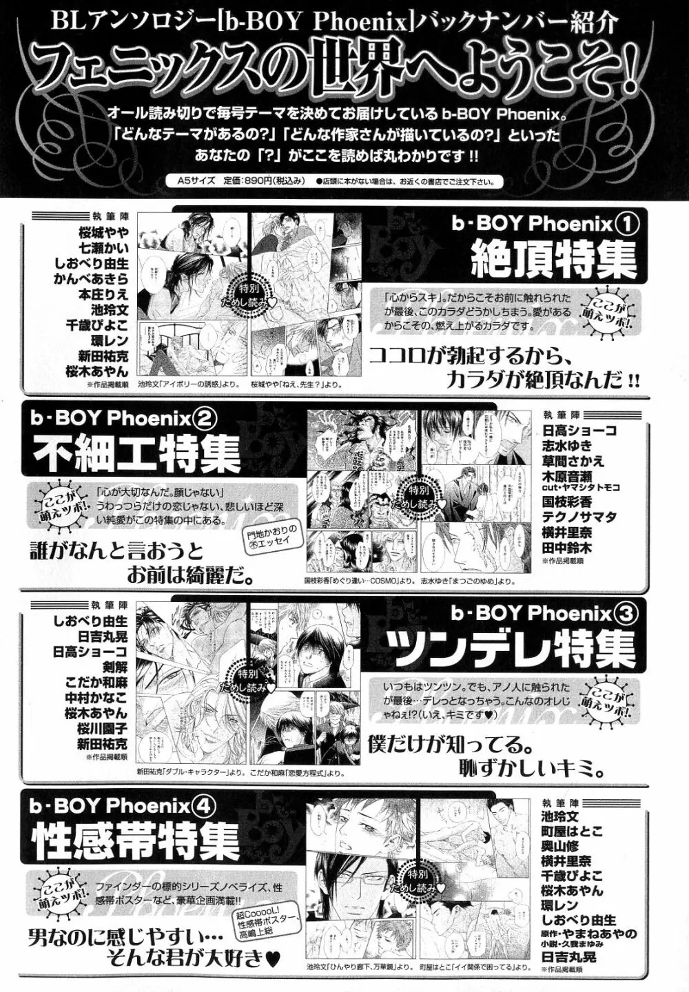 b-BOY Phoenix Vol.10 おどうぐ特集 Page.261