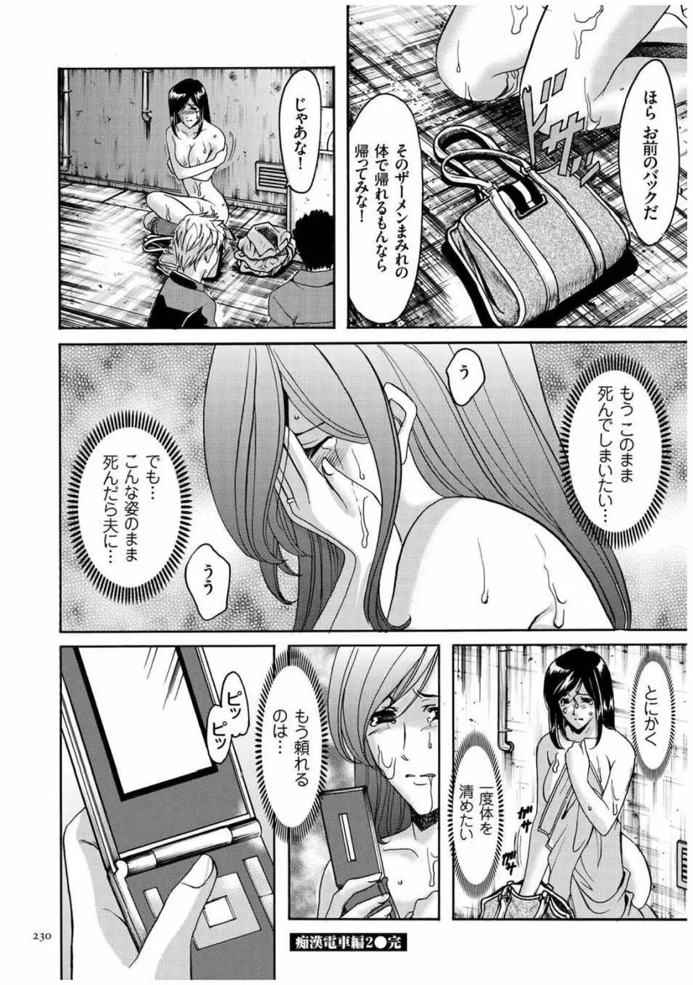 潜入妻サトミ 洗脳凌辱の記録 Page.229