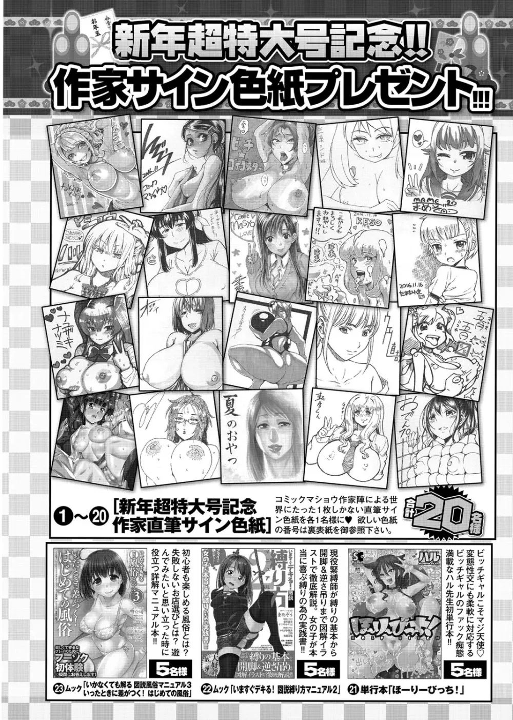 コミック・マショウ 2017年2月号 Page.382