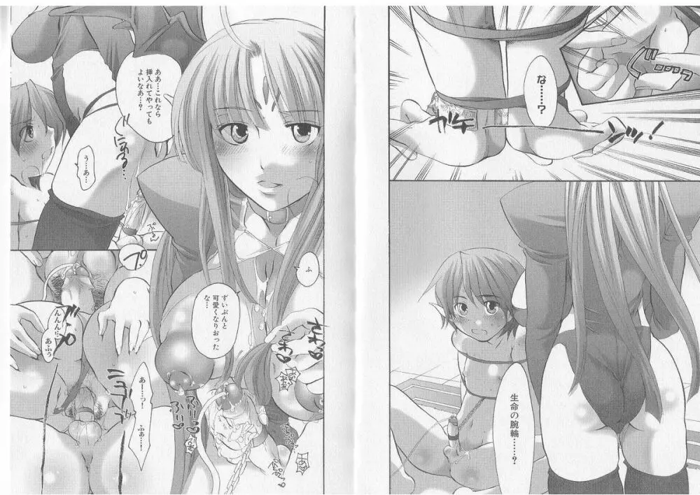 戦乙女ヴァルキリー 「あなたに全てを捧げます」 Page.25