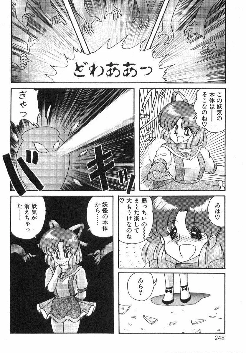 精霊特捜フェアリィセイバー Page.247