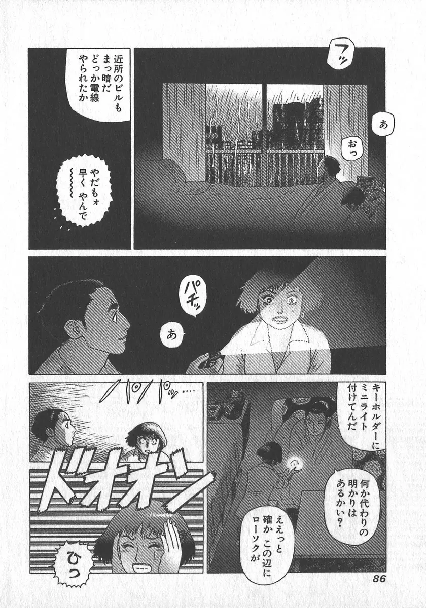 紅壁虎 ホンピーフー 第3巻 Page.89