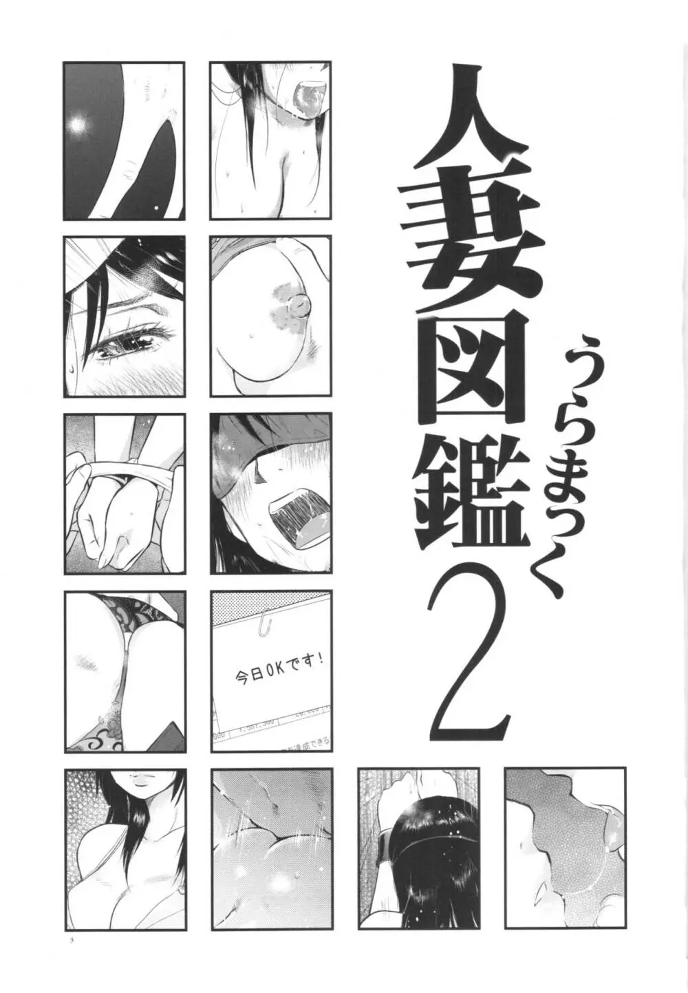 人妻図鑑2 Page.3