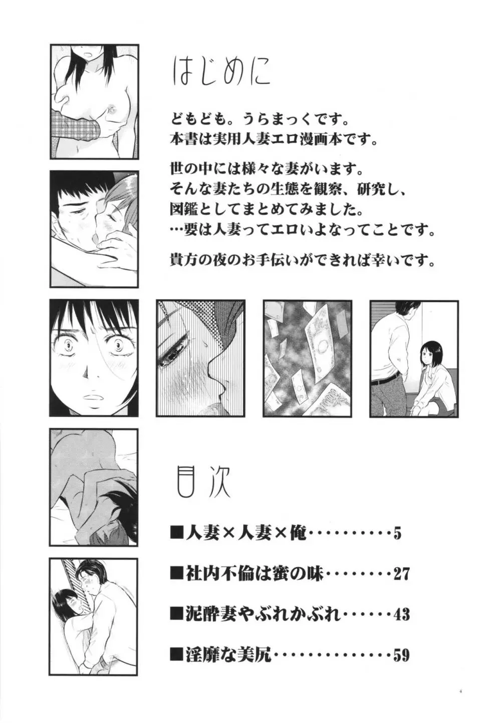 人妻図鑑2 Page.4