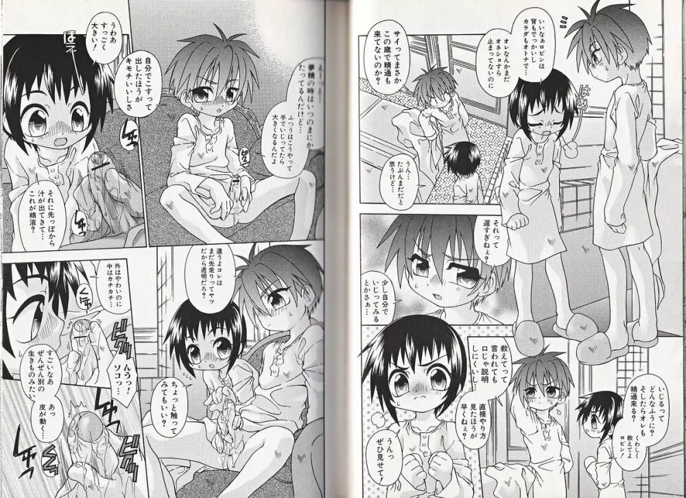 ヒミツの少年痴戯 Page.29