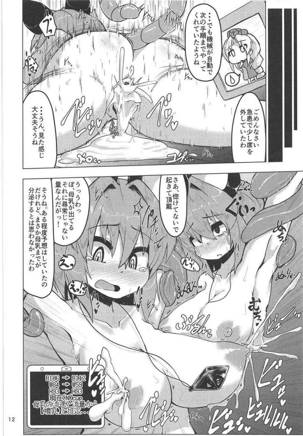 実験用ナズーリン Page.11