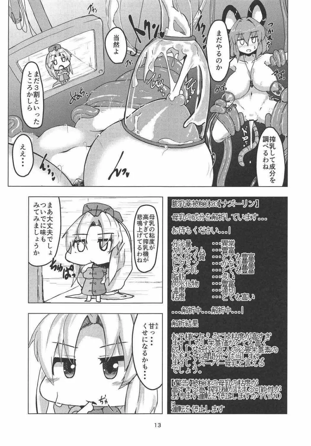 実験用ナズーリン Page.12