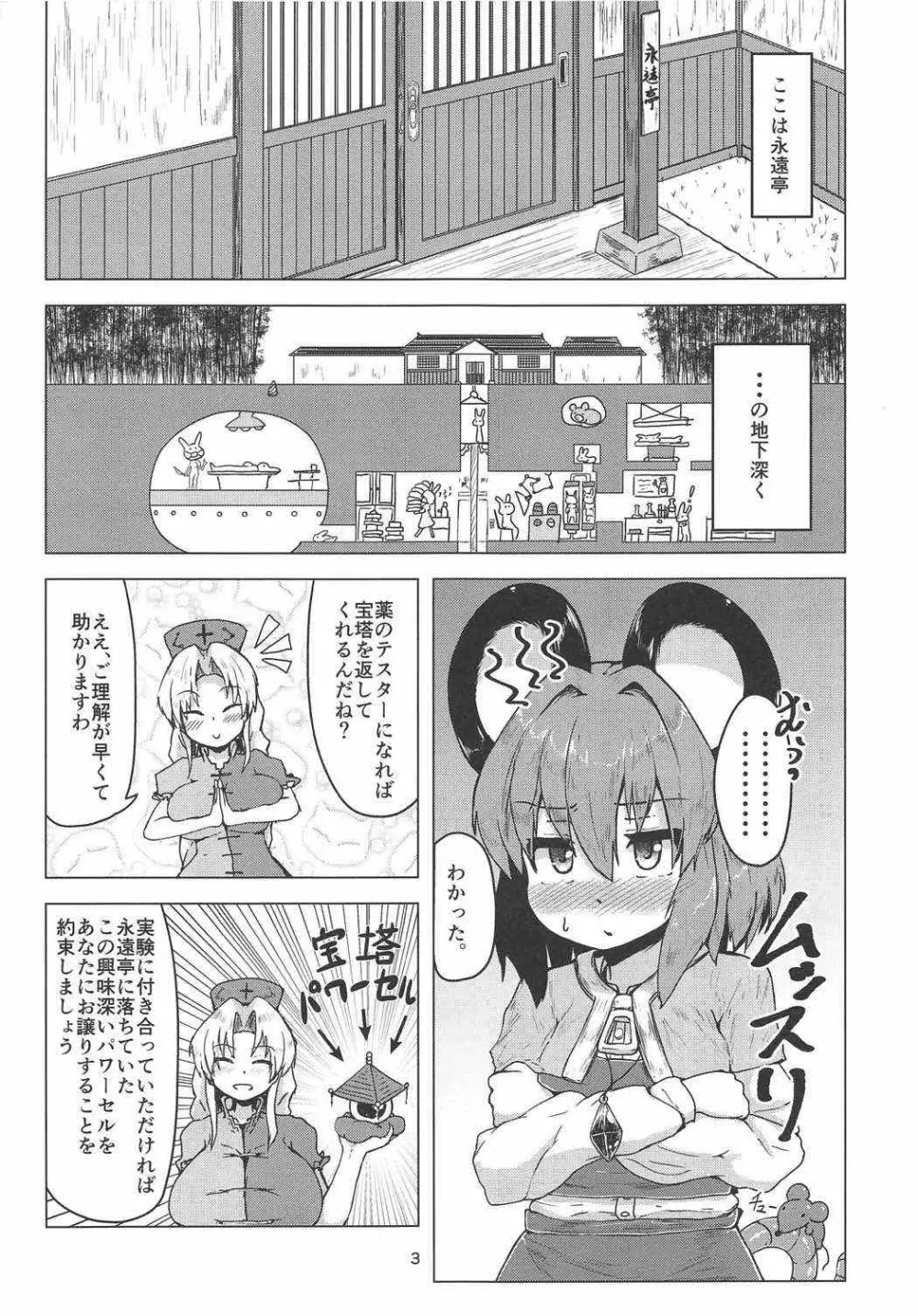 実験用ナズーリン Page.2