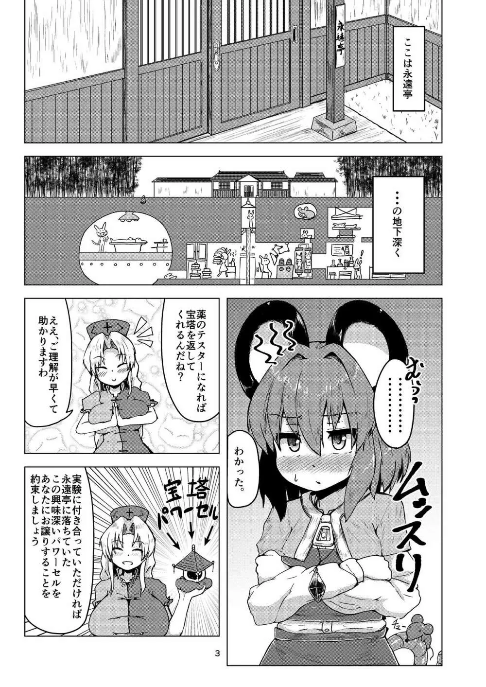 実験用ナズーリン Page.2