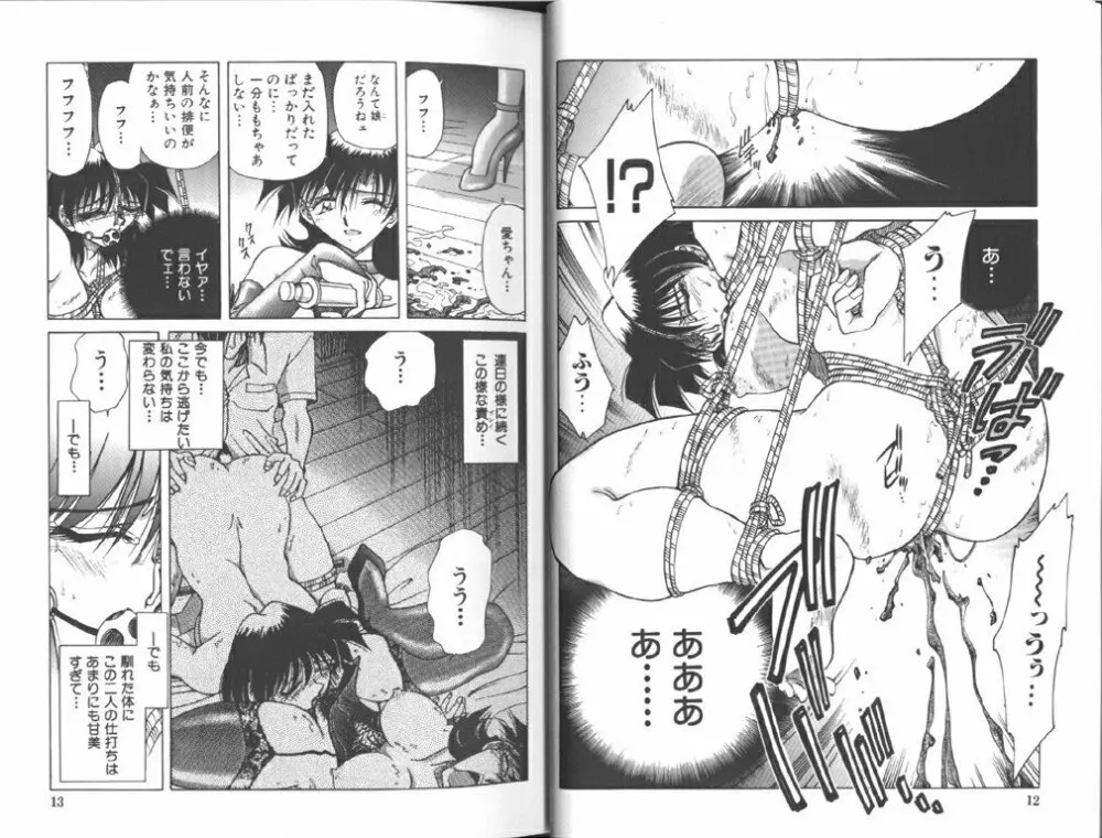 Comic Aishiteru Vol 33 Page.10