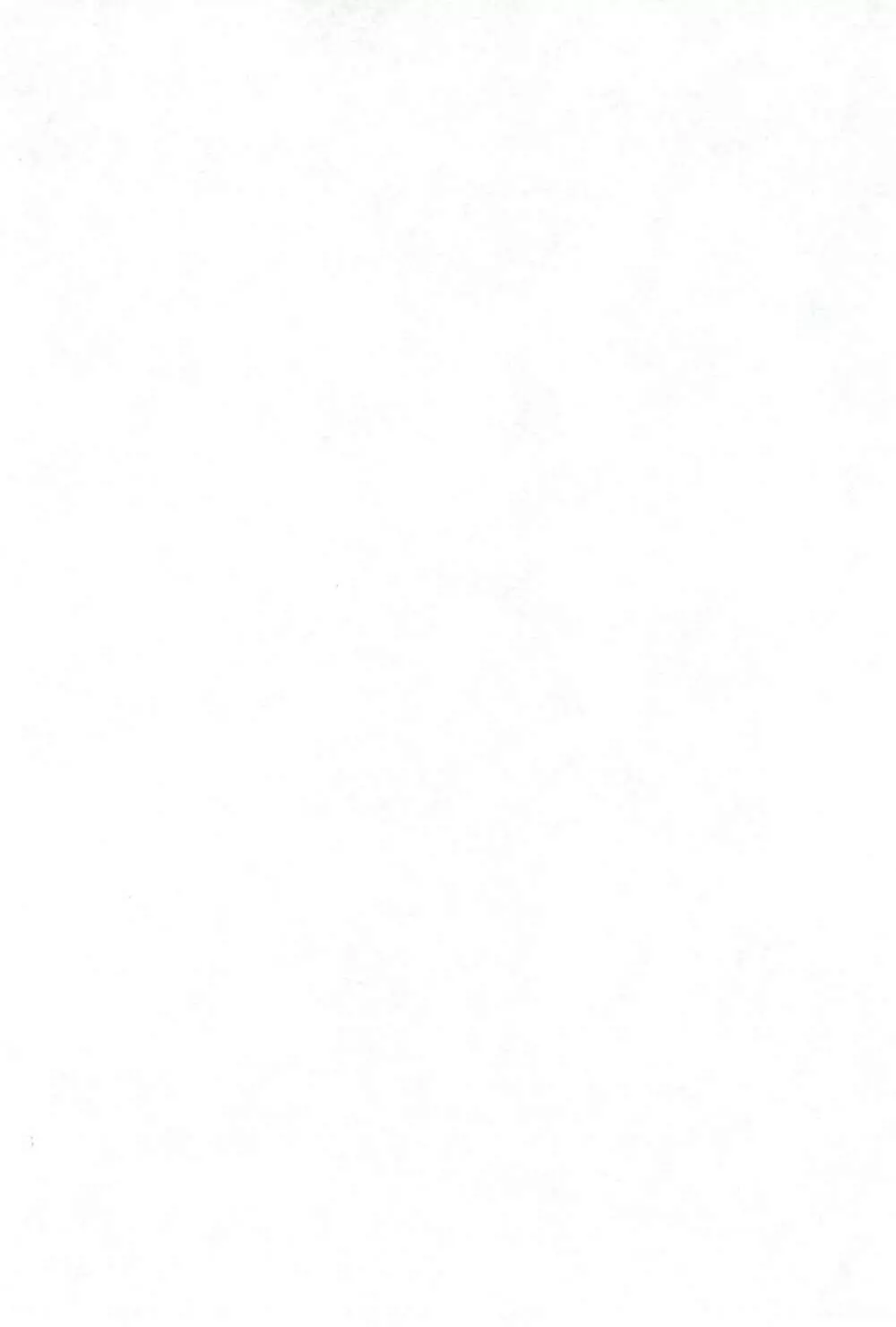 並木通り Page.4