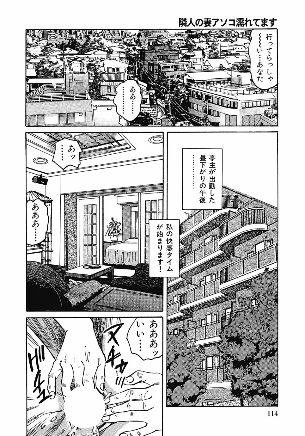 欲求不満の人妻不倫日記 Page.113