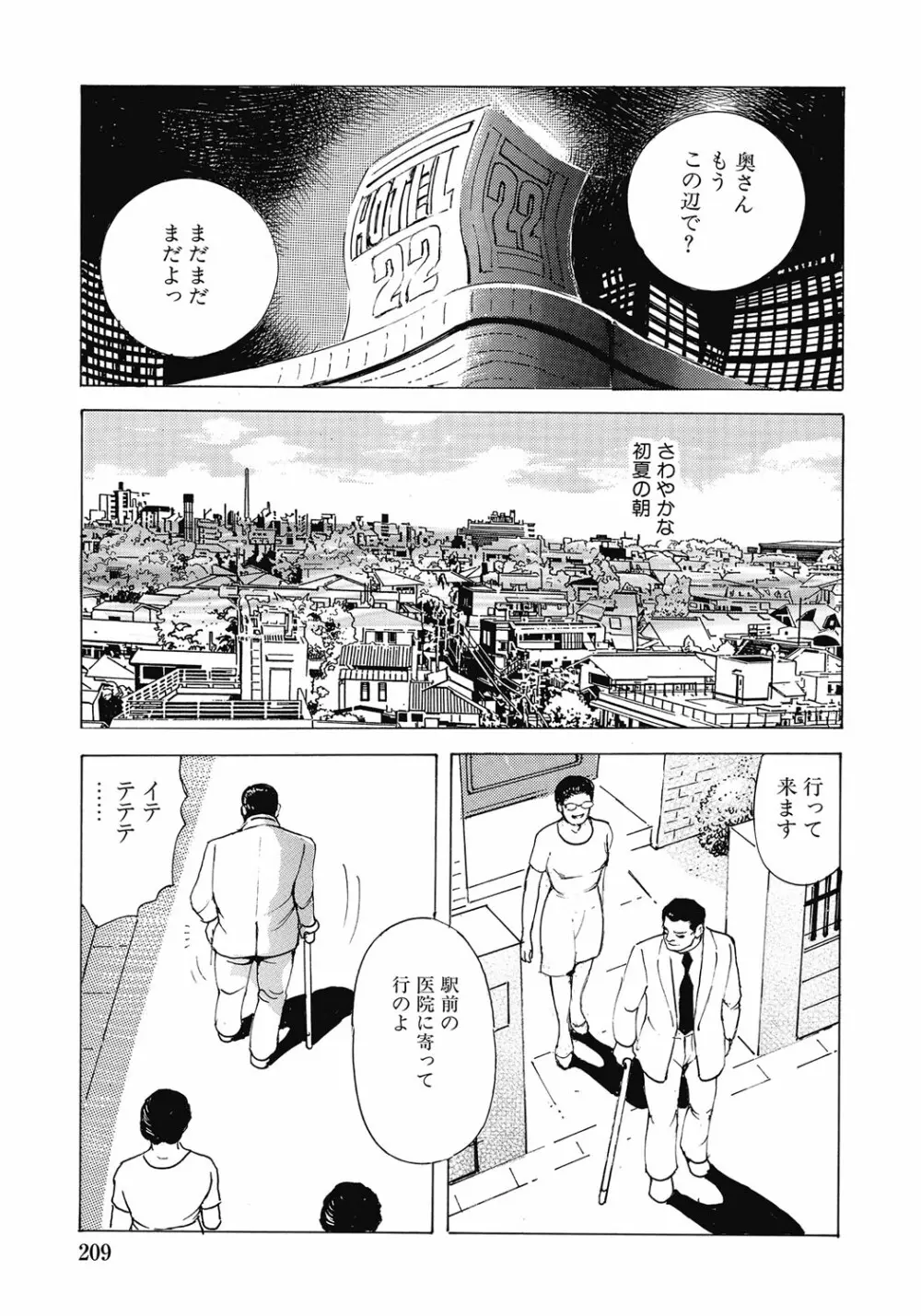 欲求不満の人妻不倫日記 Page.208