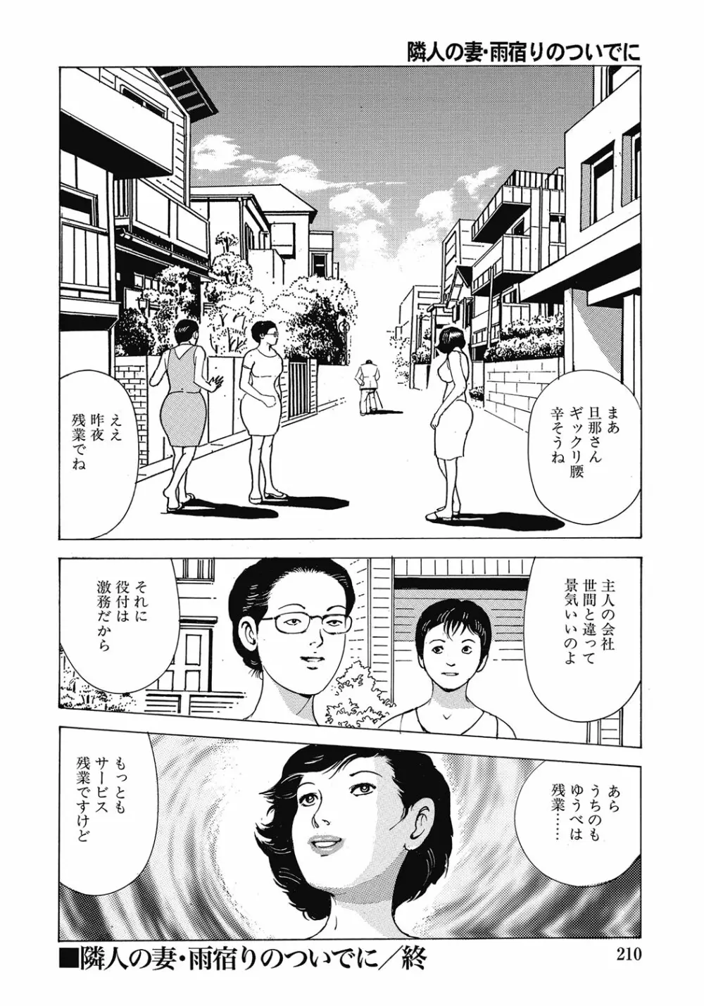 欲求不満の人妻不倫日記 Page.209