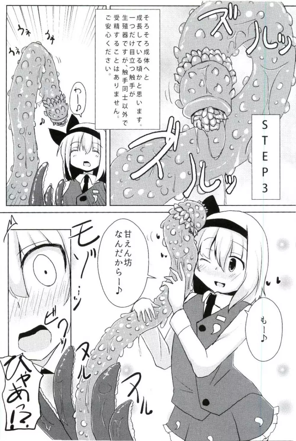 姦妖触物 妖夢の姦擦日記 Page.12