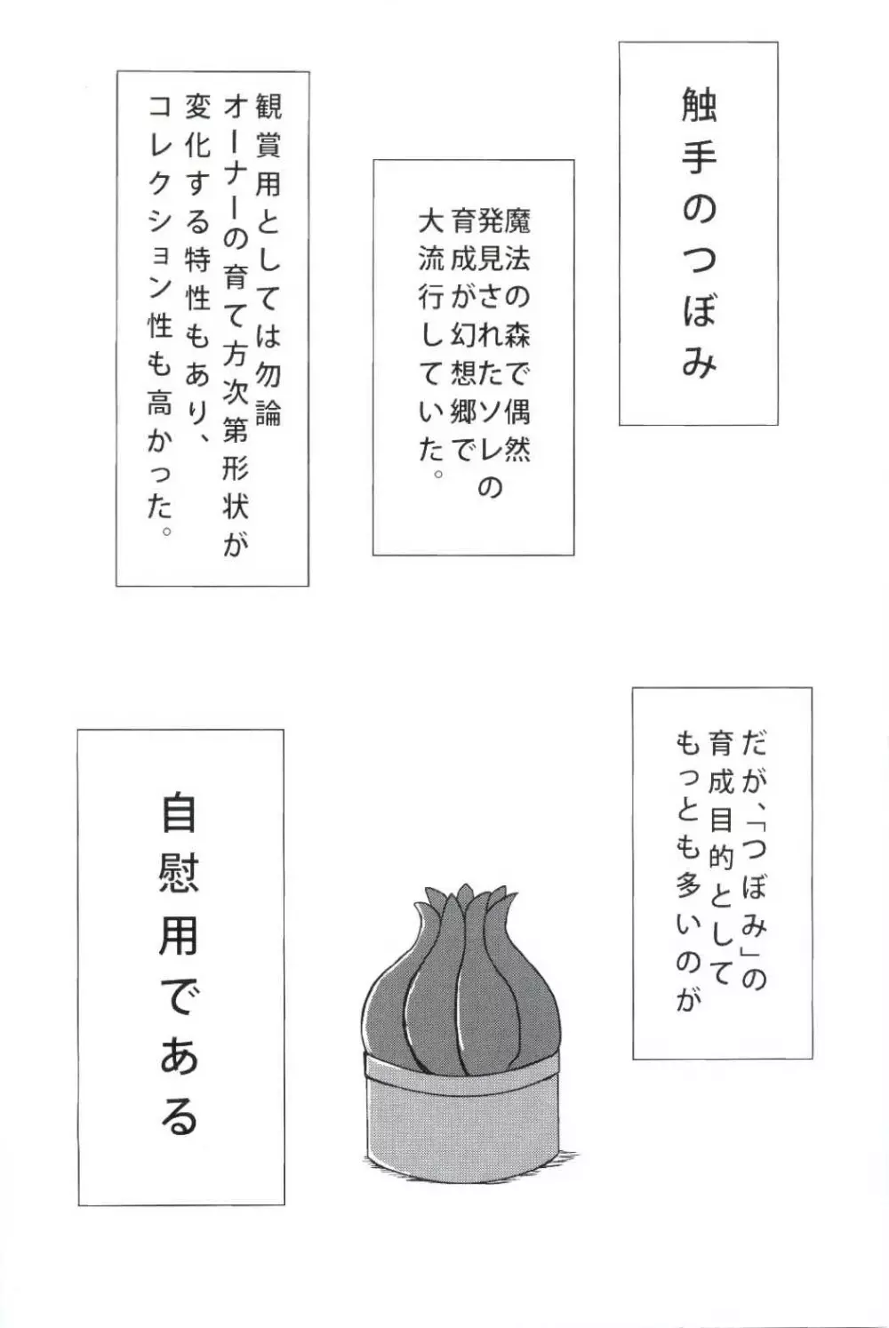 姦妖触物 妖夢の姦擦日記 Page.2