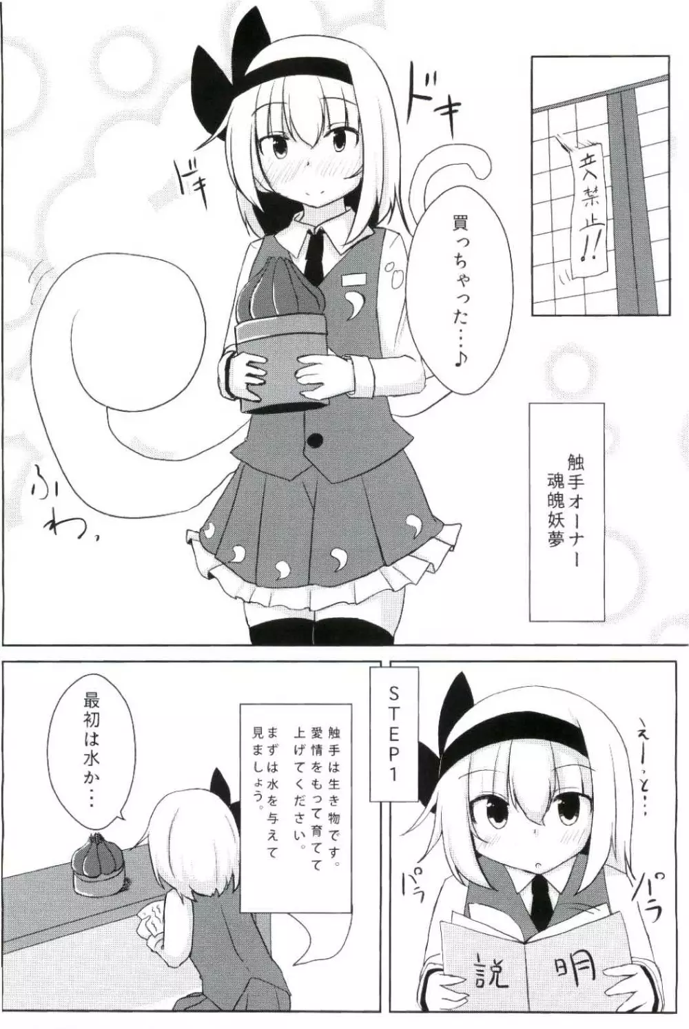 姦妖触物 妖夢の姦擦日記 Page.3