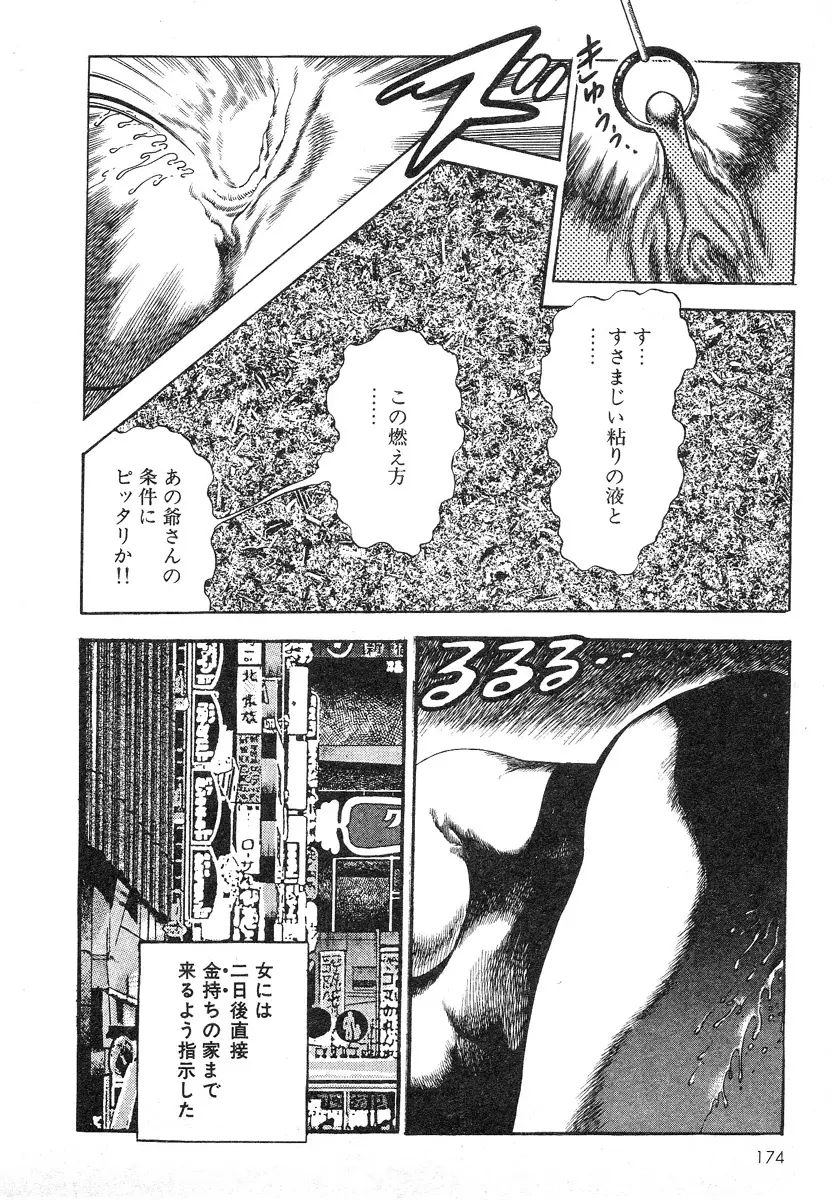 牝狩り 第4巻 Page.173