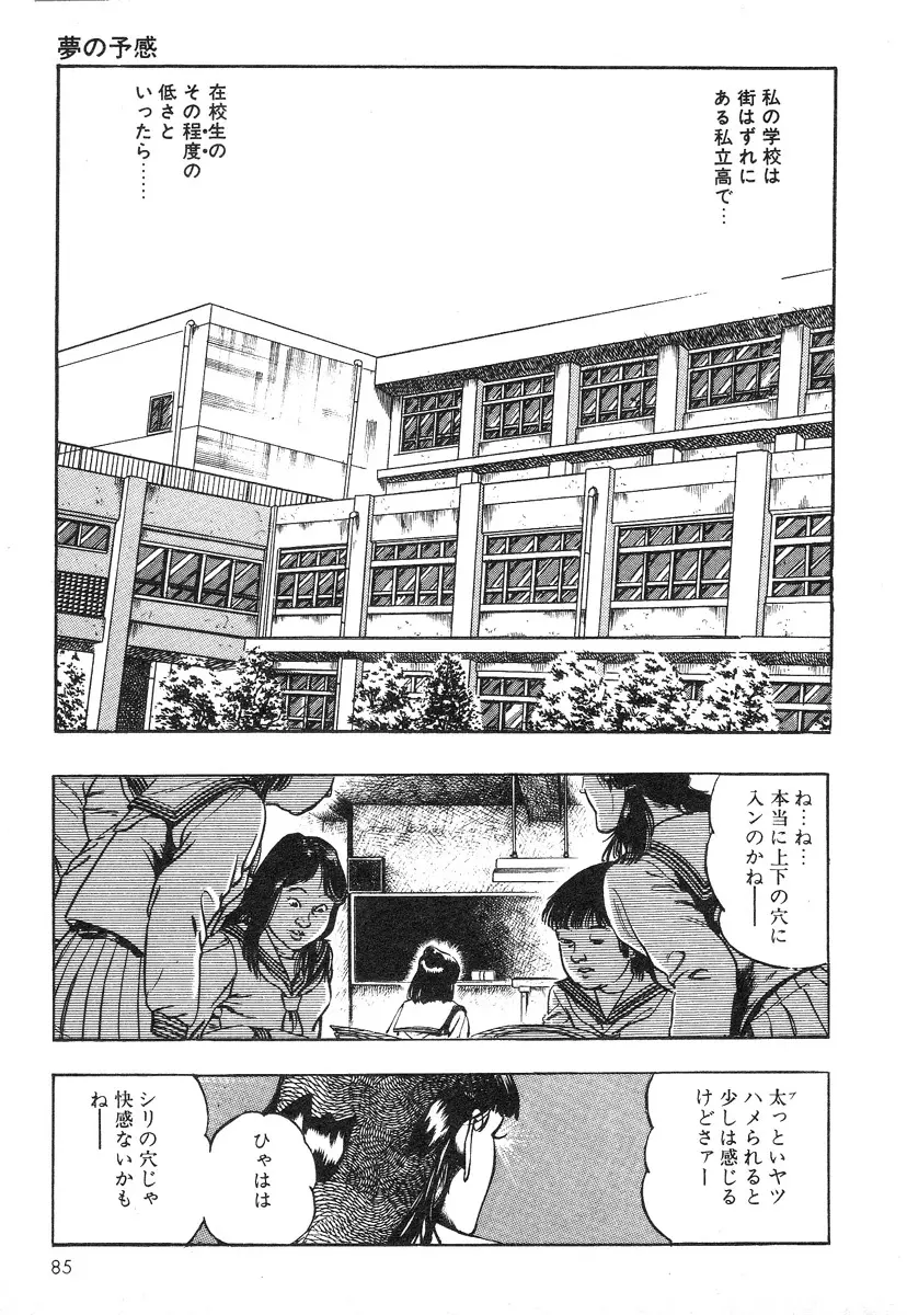 牝狩り 第4巻 Page.84