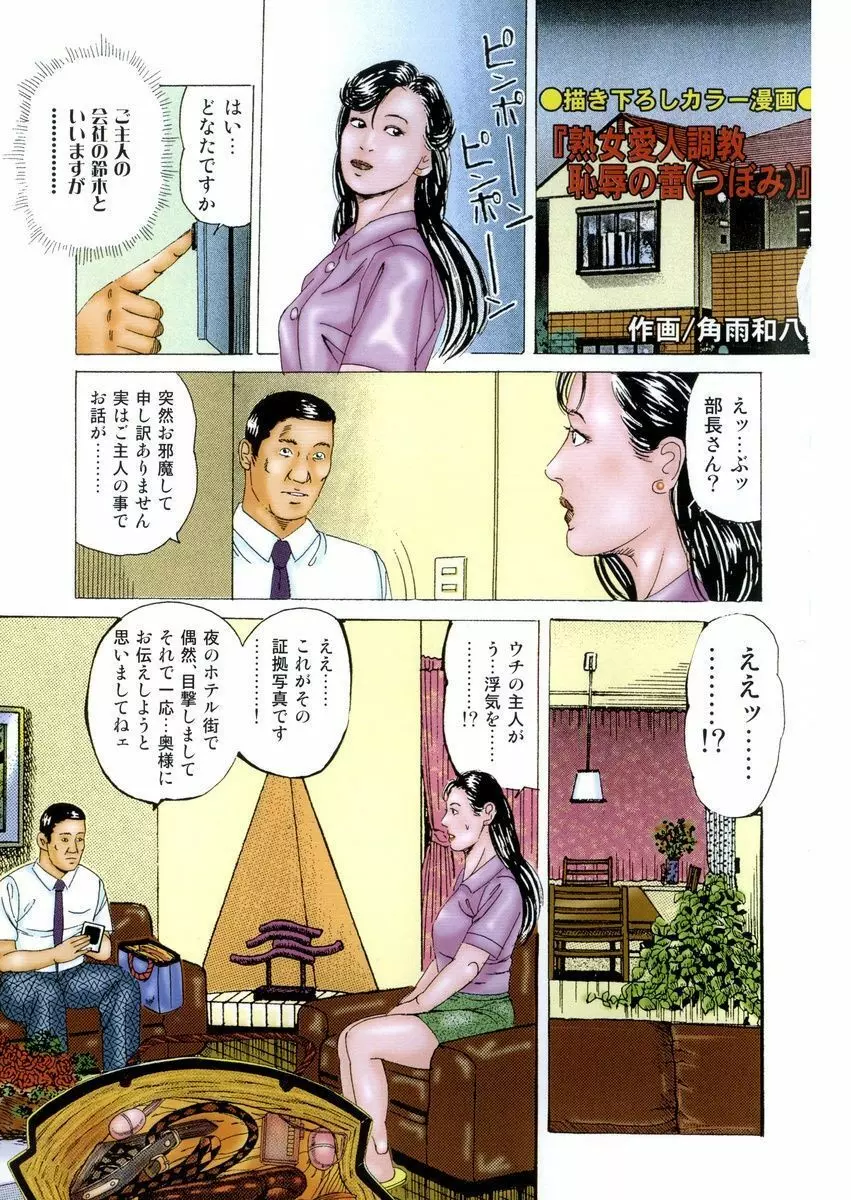 女犯～人妻凌辱レイプ集～ 角雨和八劇画撰 Page.3