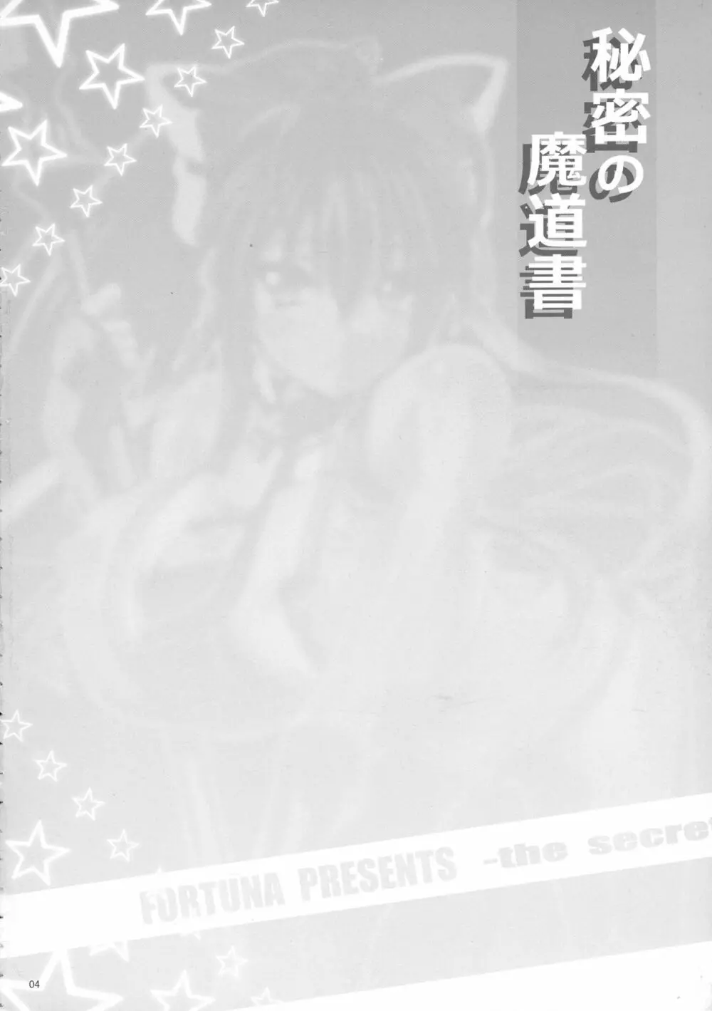 秘密の魔道書 Page.3