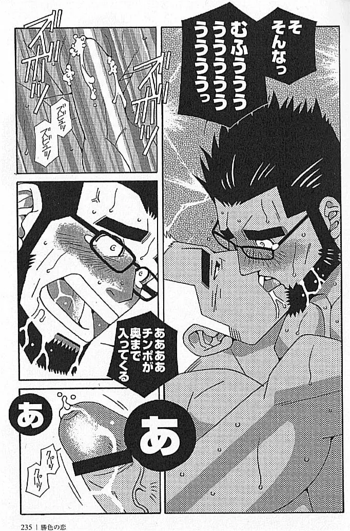 勝色の恋 Page.235