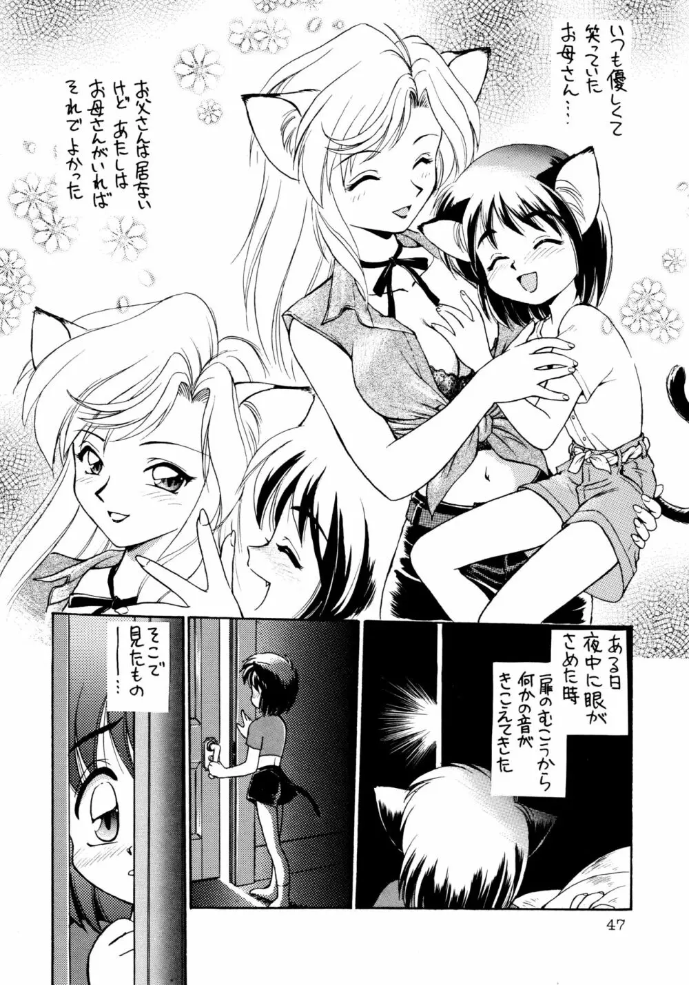 噂のねこ集会 Page.47