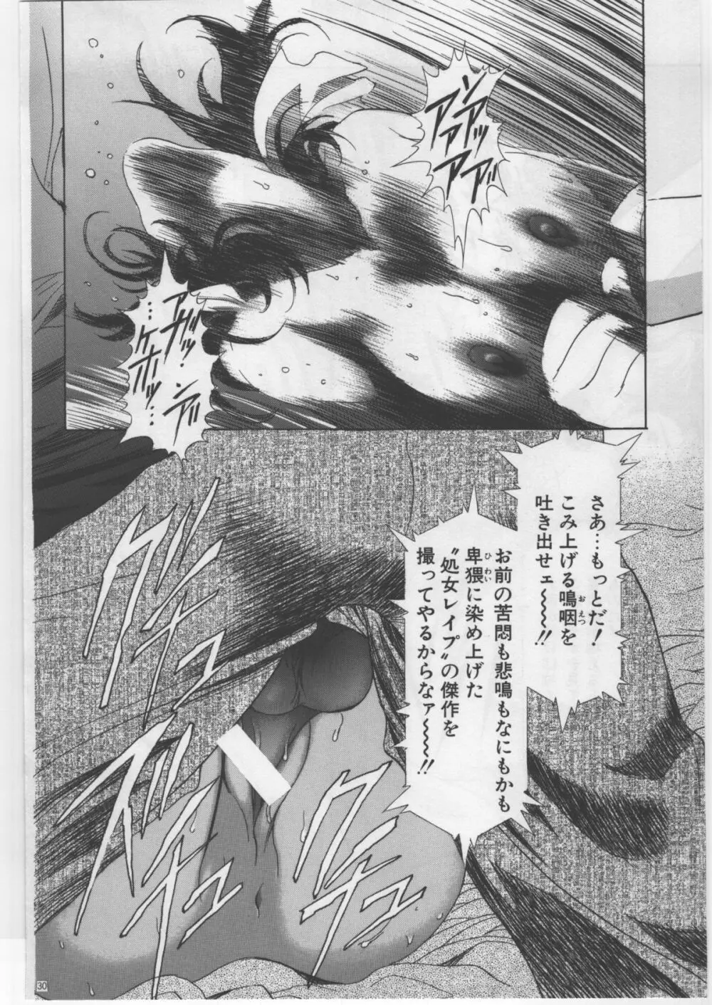 モノクローム・ライナーズ Page.30