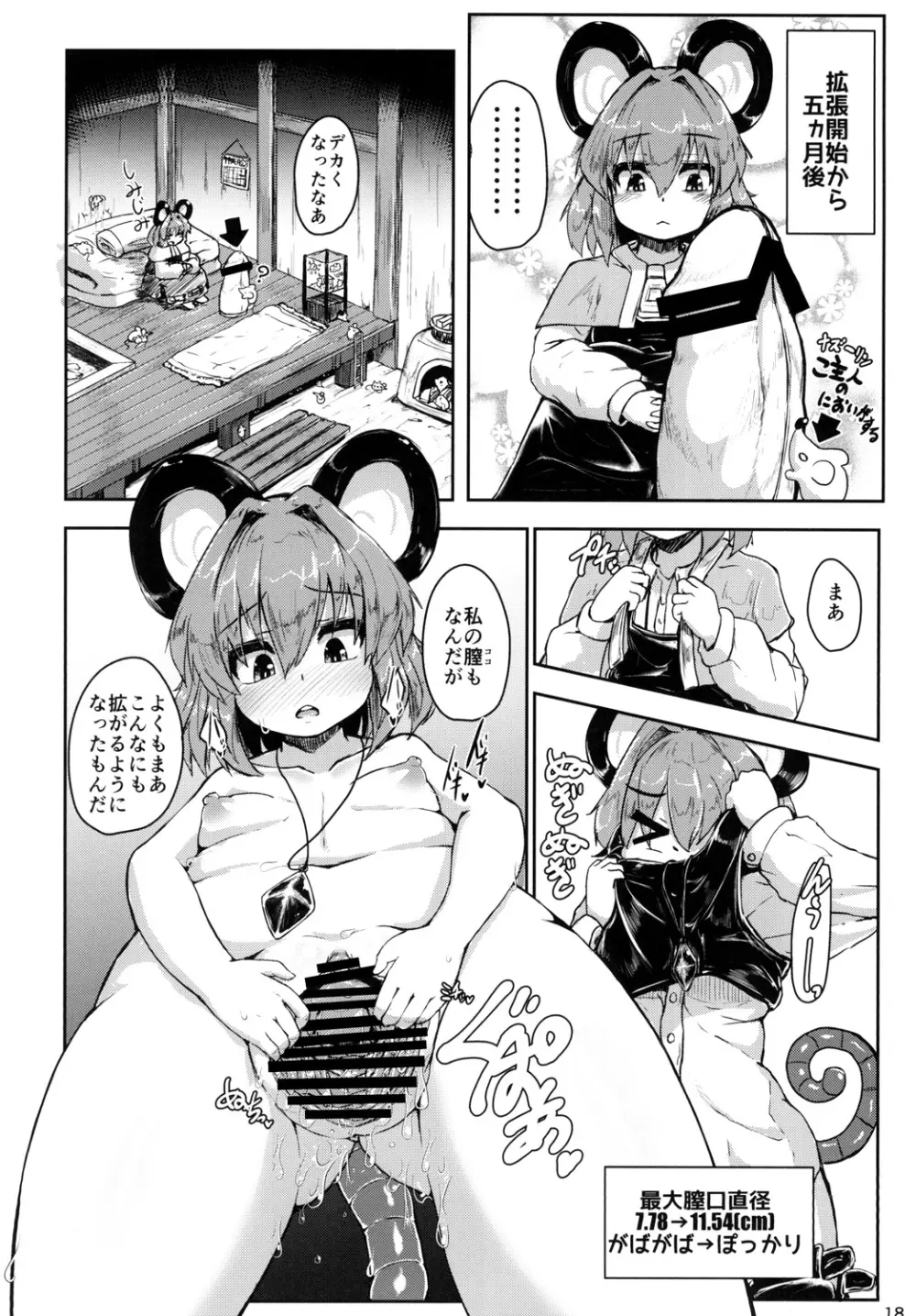 ナズーリンがごしゅじんの為に秘密の特訓をする話 Page.17