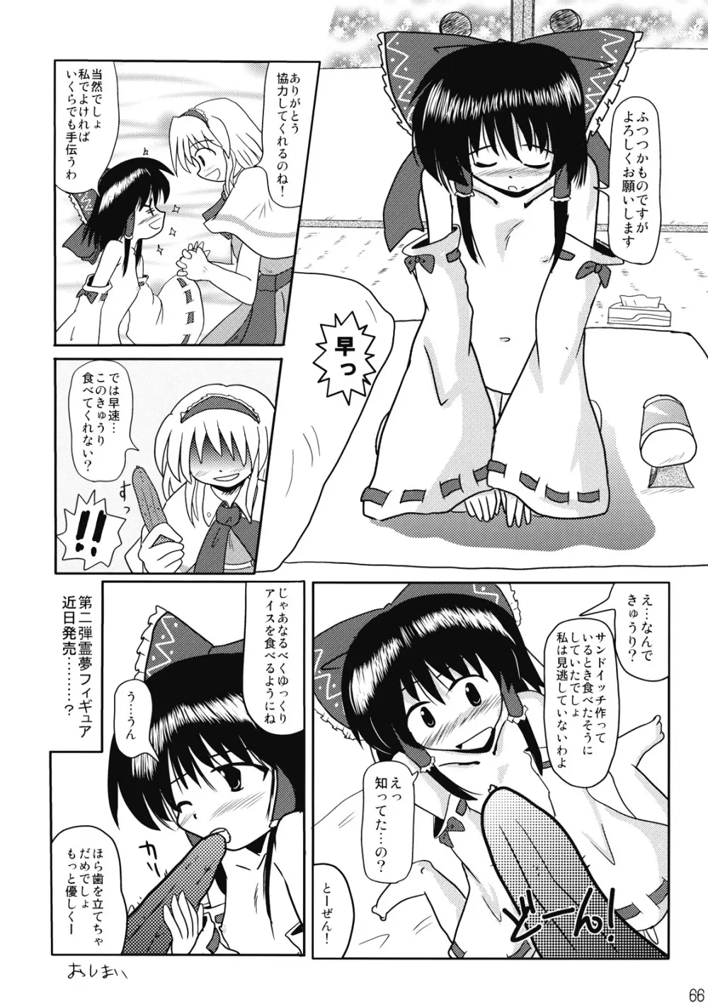 東方霊袖伝 Page.67