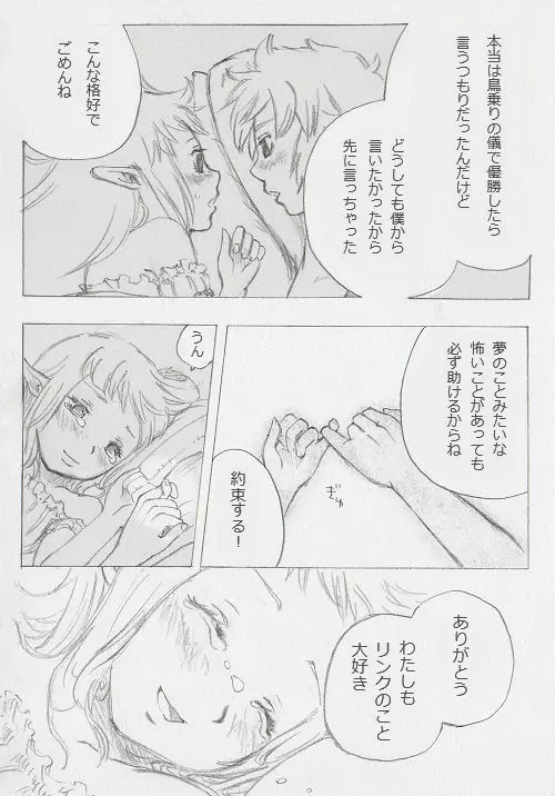 リンクとゼルダの… Page.11