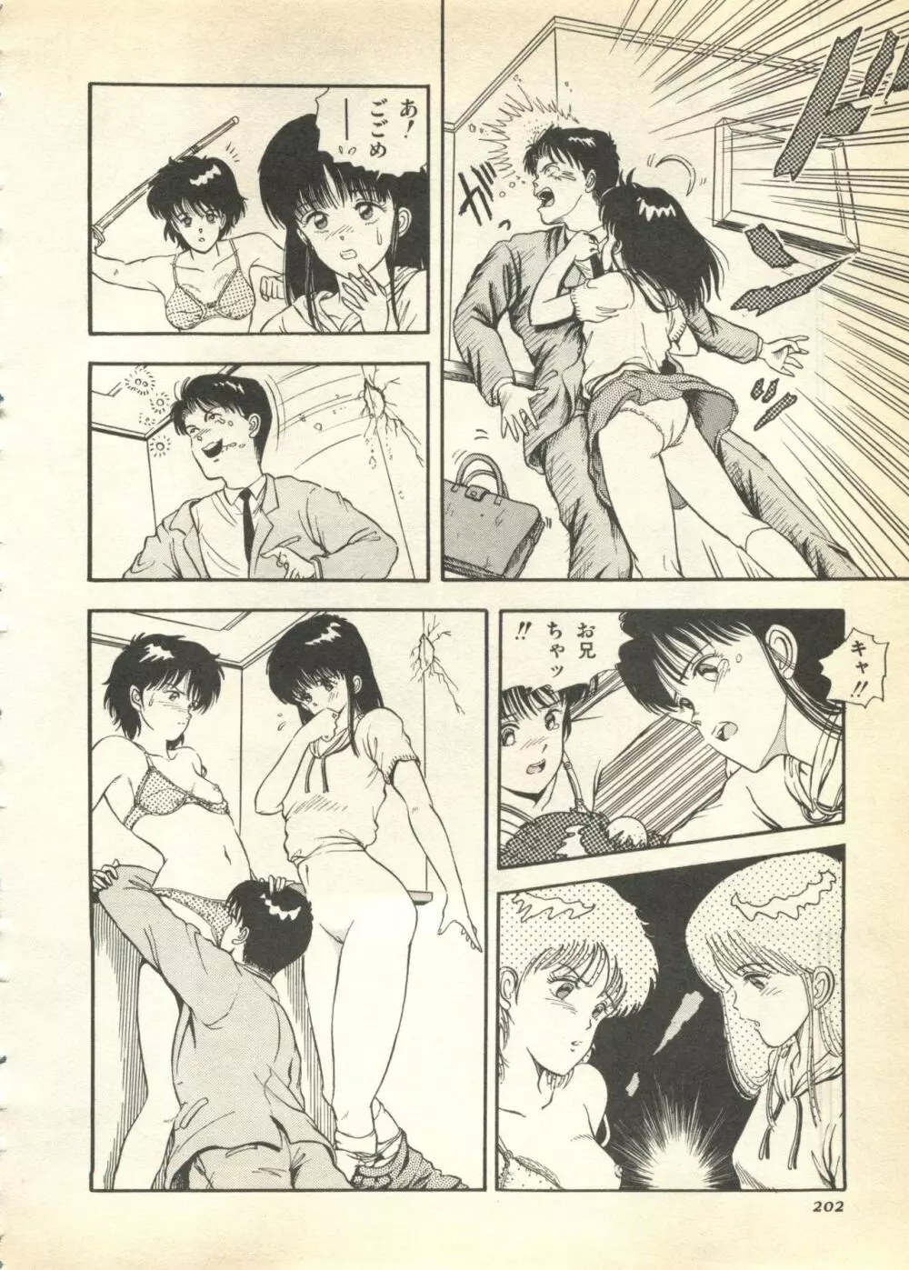 パイク Pai.kuu 1997 Dec 七 Page.202