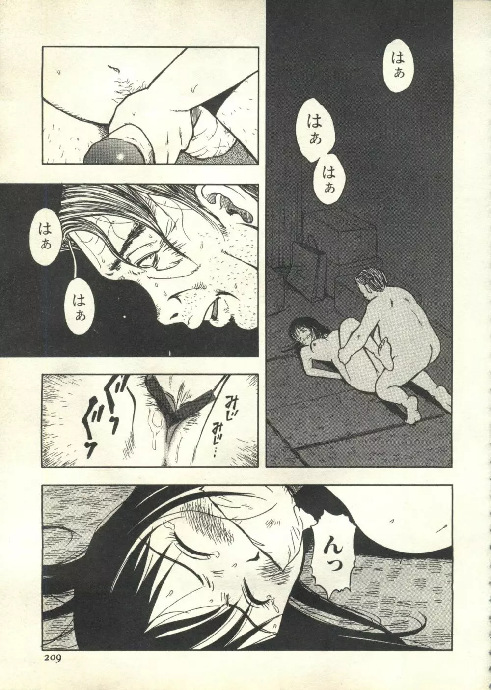 パイク Pai;kuu 1999 March Vol.18 Page.210