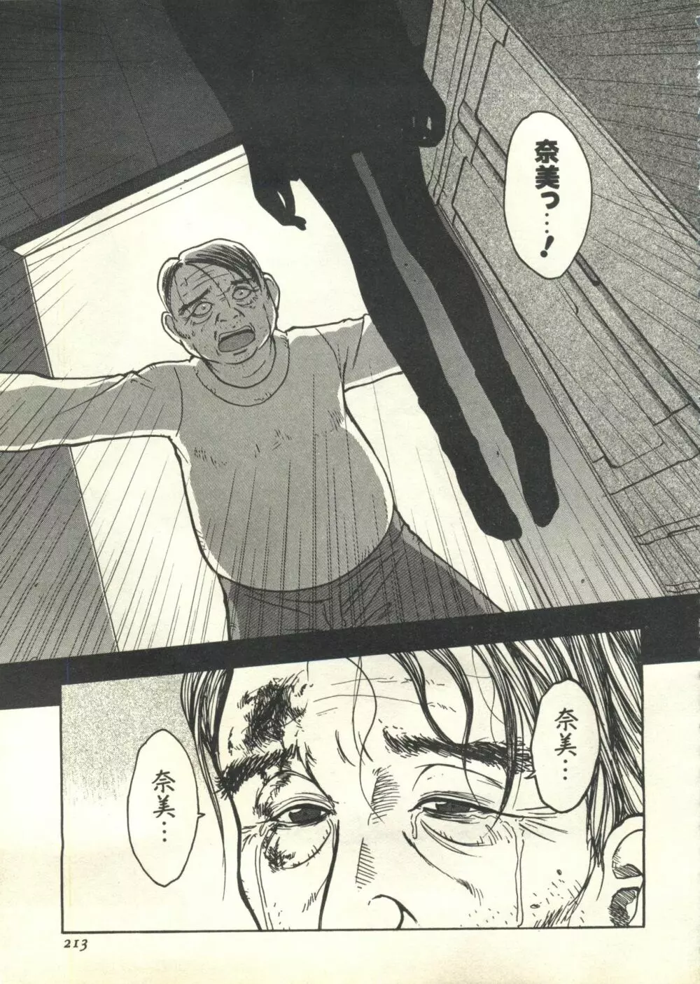 パイク Pai;kuu 1999 March Vol.18 Page.214