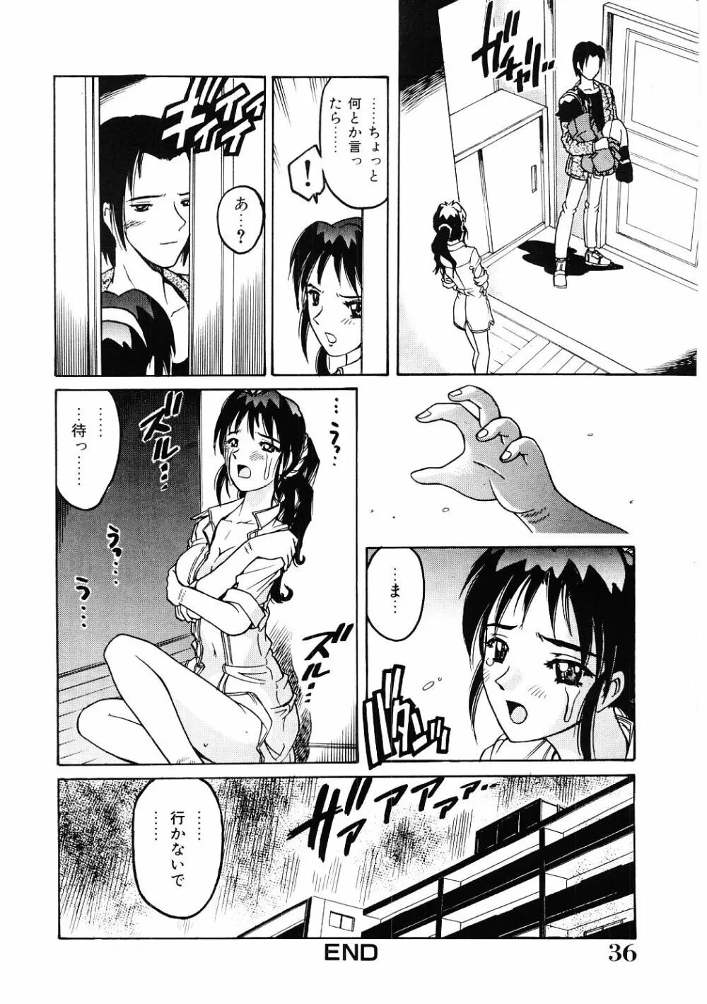 調教淫獣図鑑 Page.35