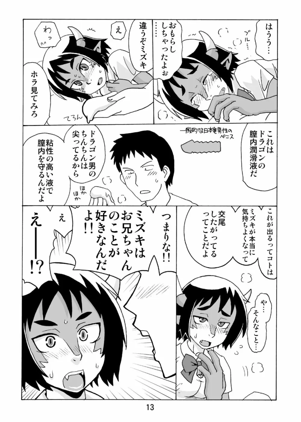 この際ドラゴンなら妹でもかまわねぇ。 Page.12