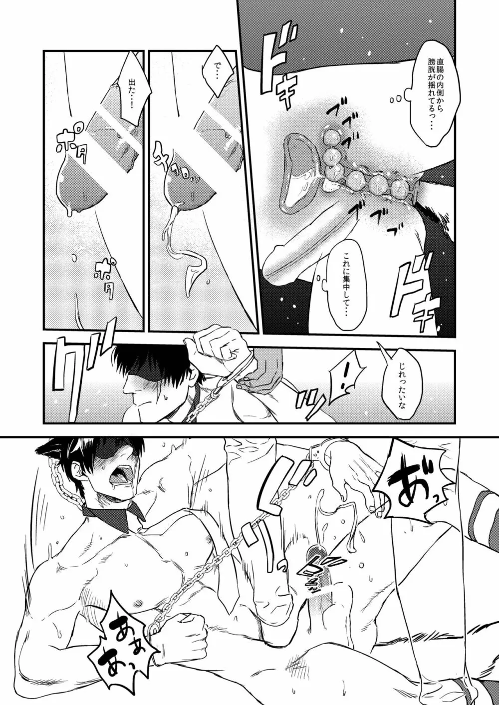 MOB PET Page.13