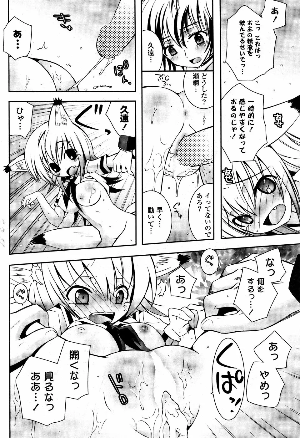 COMIC ポプリクラブ 2008年12月号 Page.254