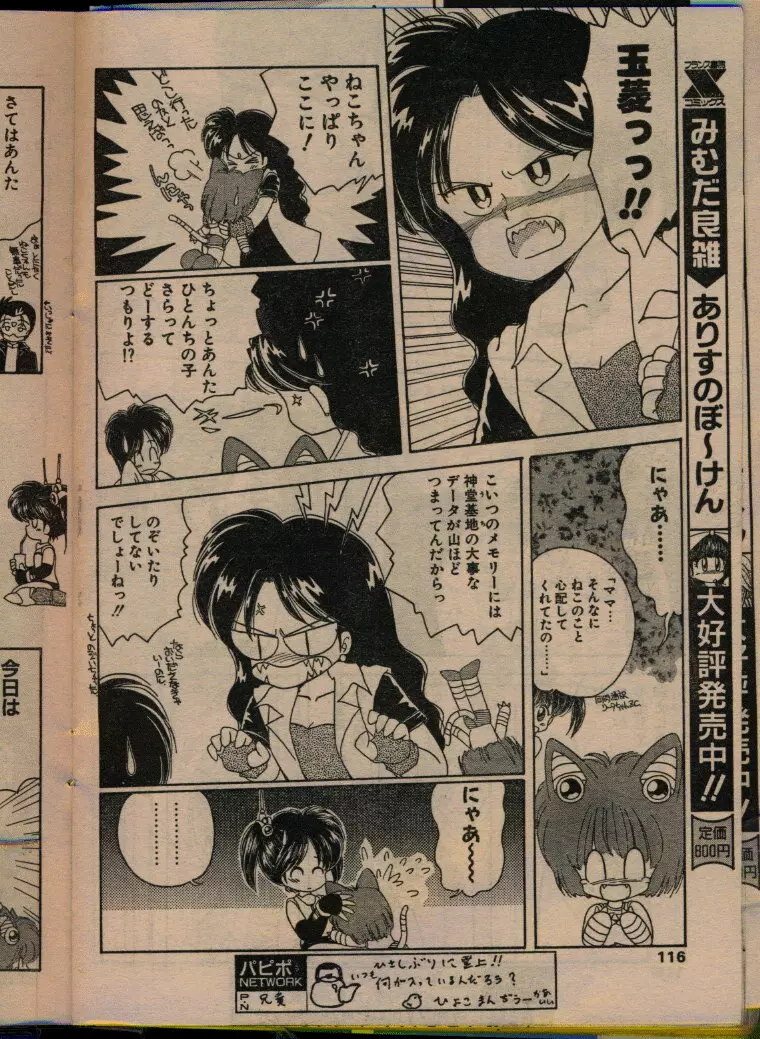 COMIC パピポ 1993年08月号 Page.114