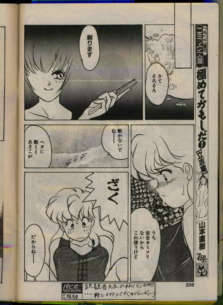 COMIC パピポ 1993年08月号 Page.204