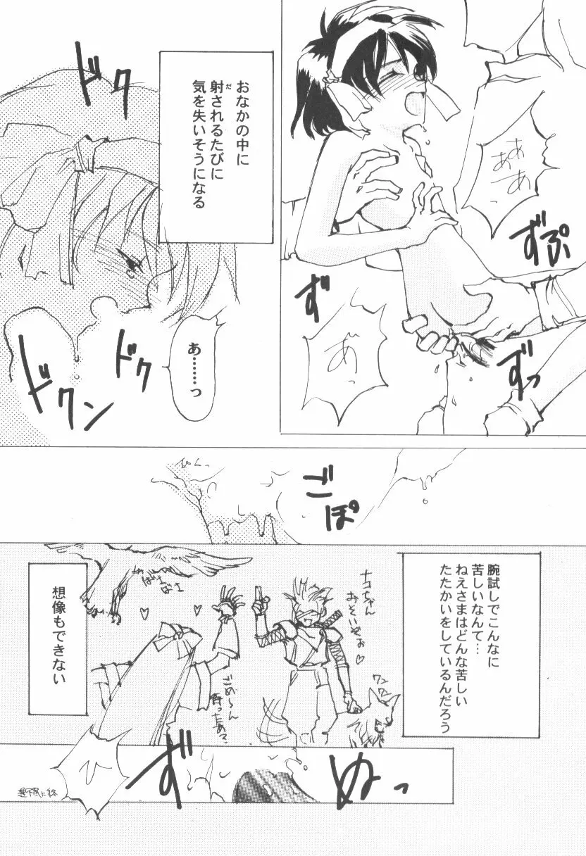 ゲーム美姫 Vol.6 Page.25