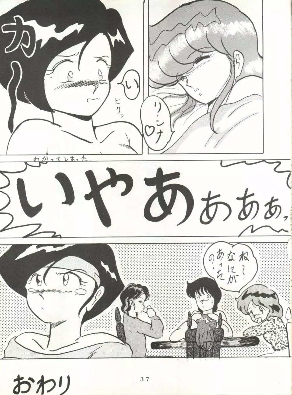 それだけならば、まだいいが Page.37