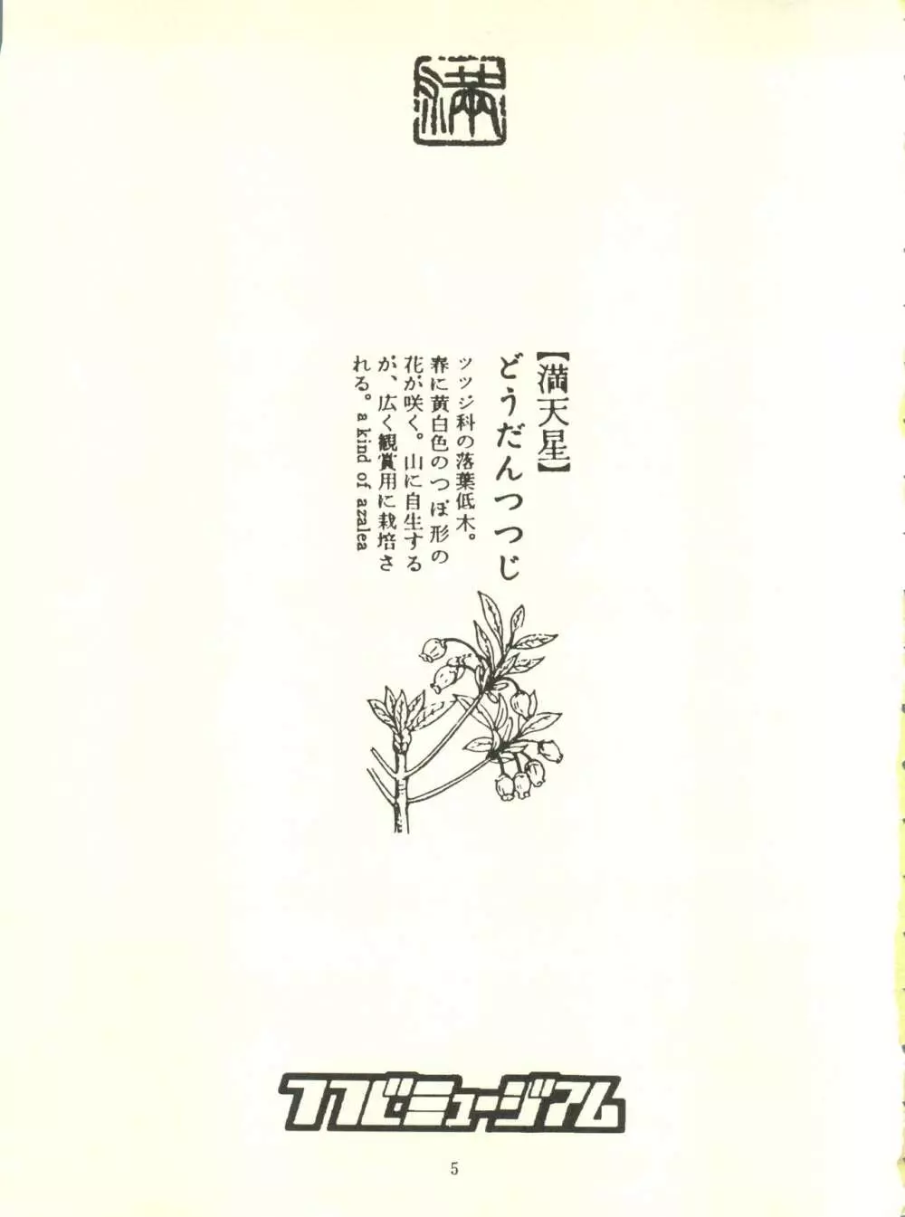 満天星初期作品集 「つつじミュージアム」 Page.5