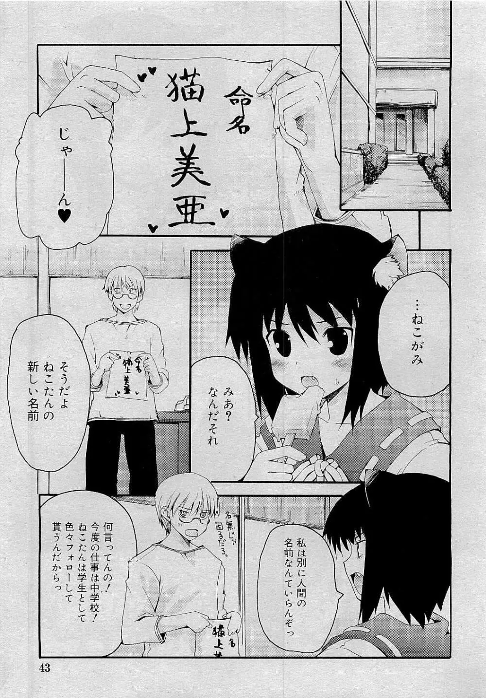 Comic RiN [2009-05] Vol.53 Page.43