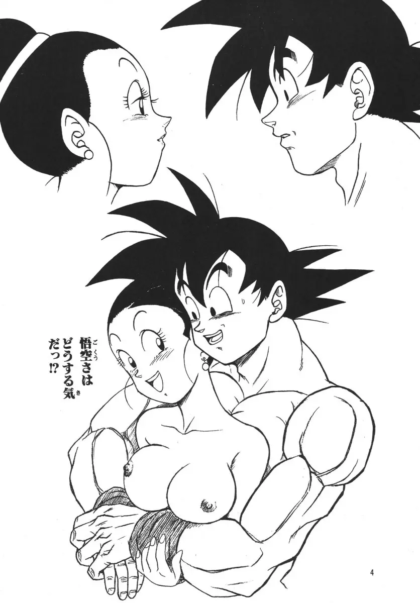 ドラゴンボールH 別巻 Page.3