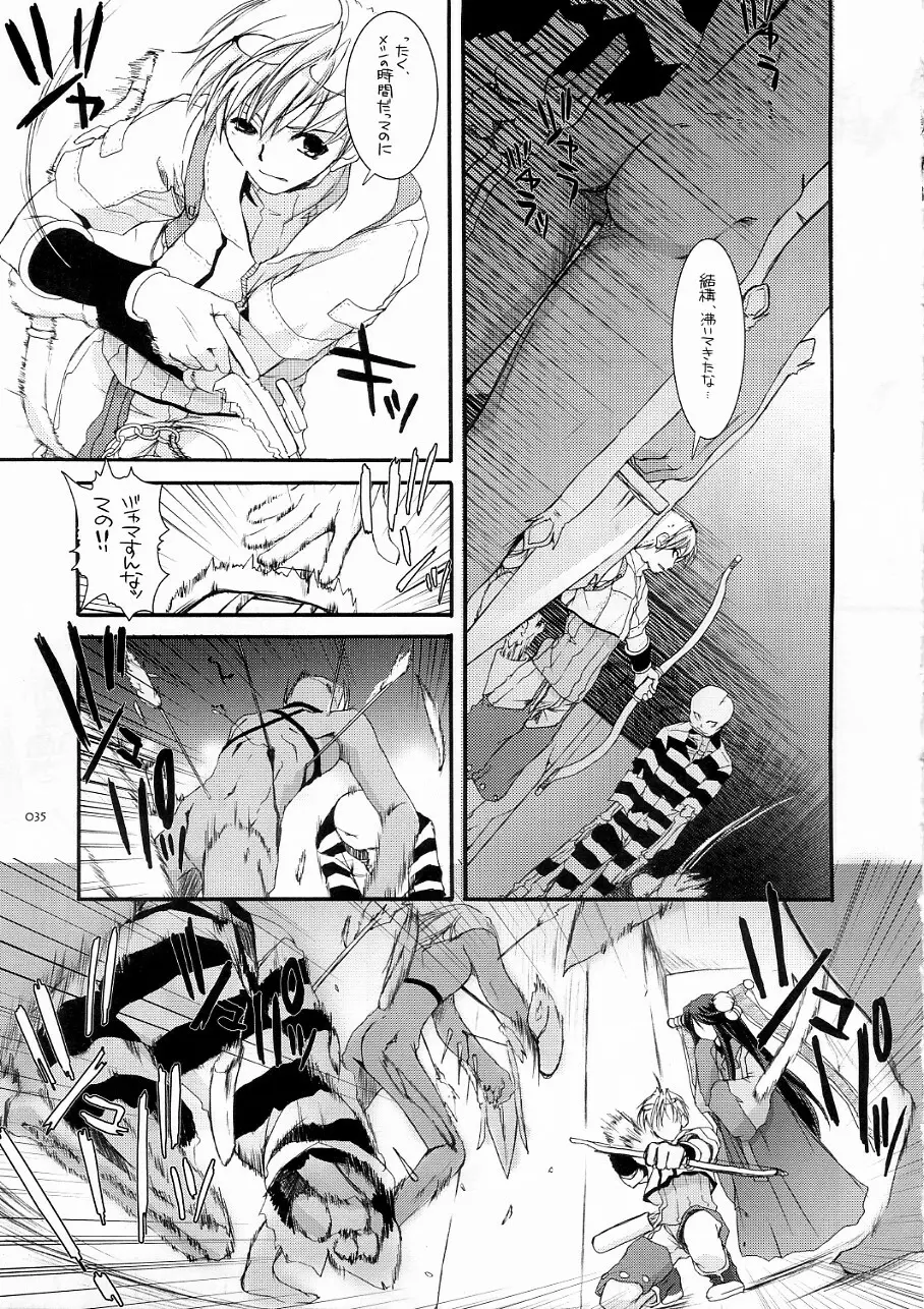 DL-RO Soushuuhen 3 Page.34