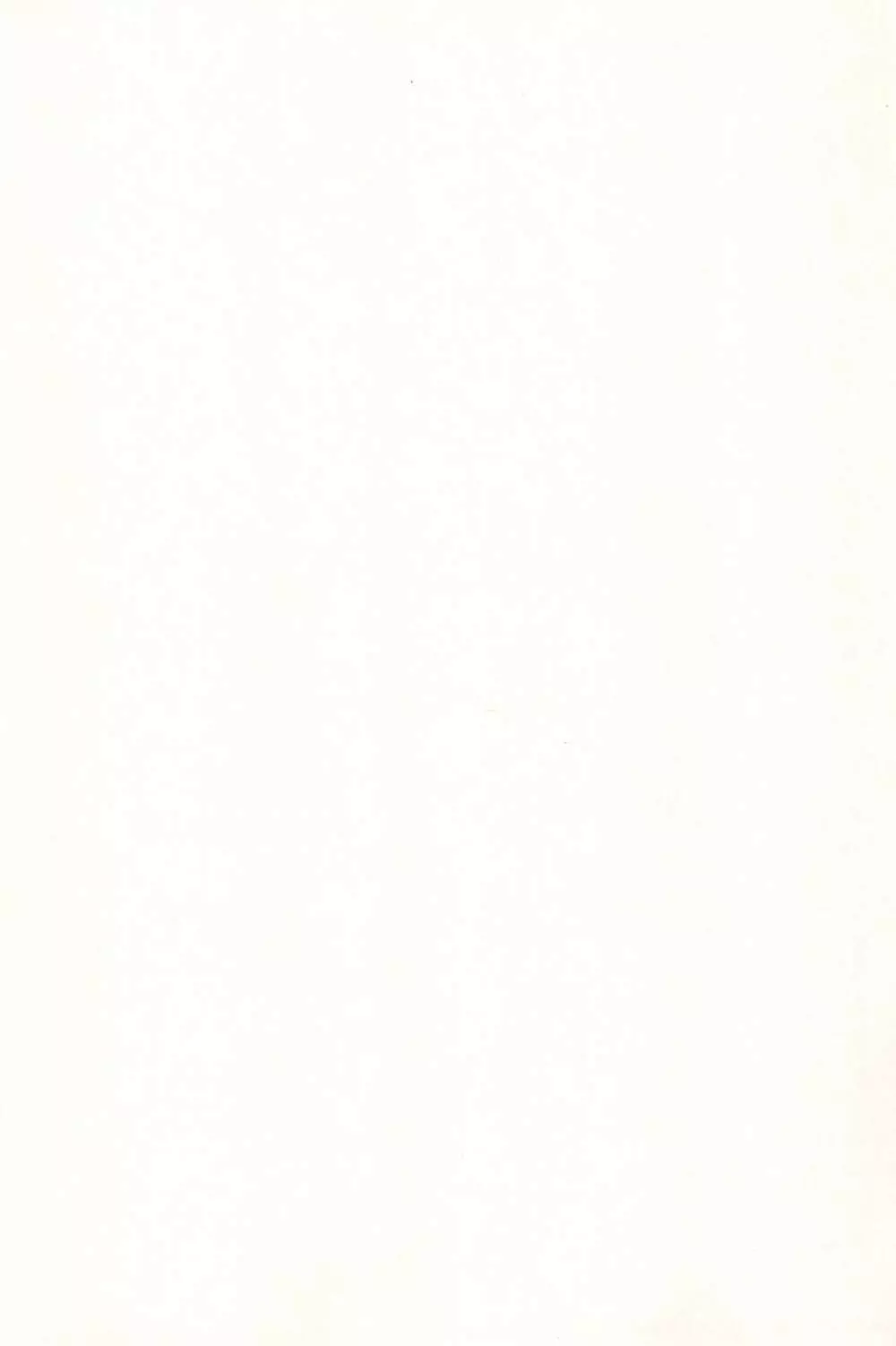 10から始める英才教育 Page.215