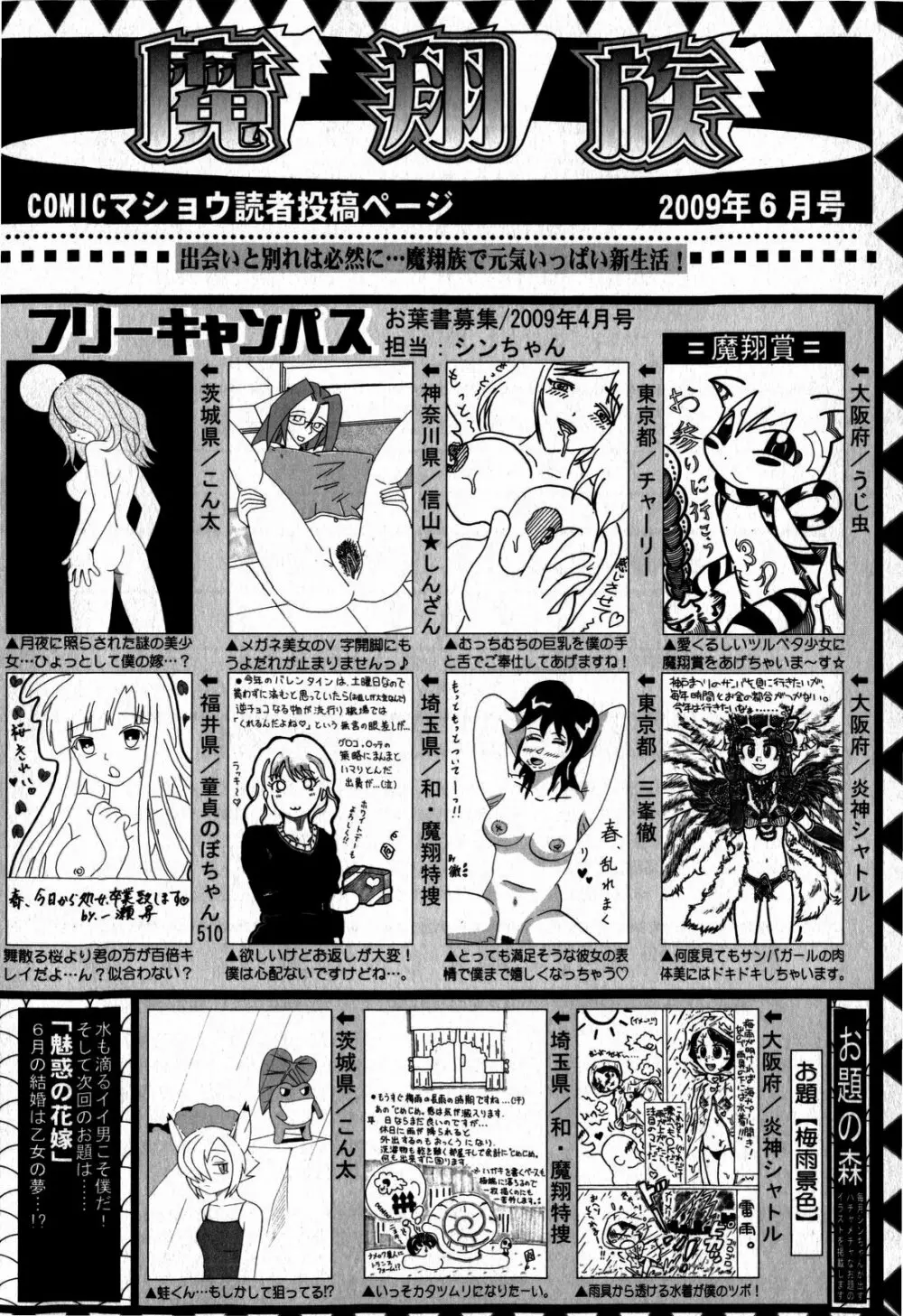 コミック・マショウ 2009年6月号 Page.254