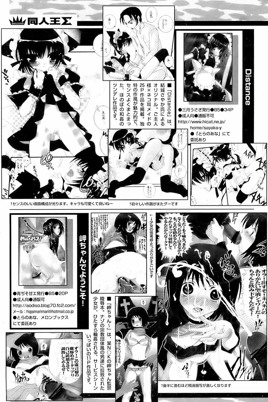 COMIC パピポ 2006年11月号 Page.244