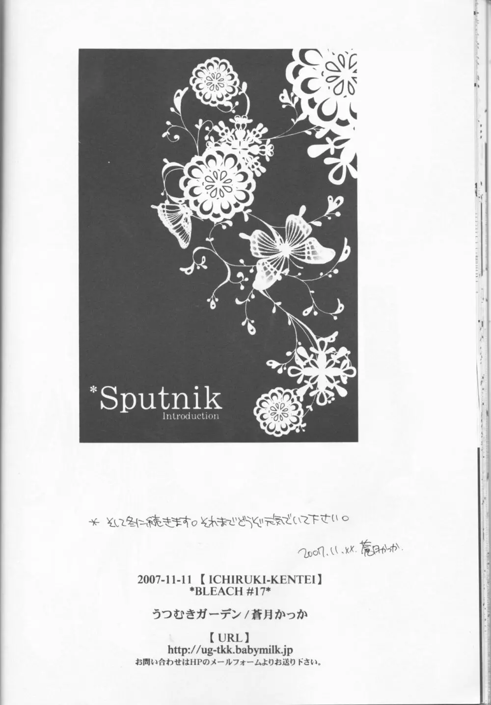Sputnik Introduction Page.22